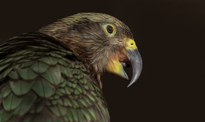 Wünsche einen schönen Sonntag