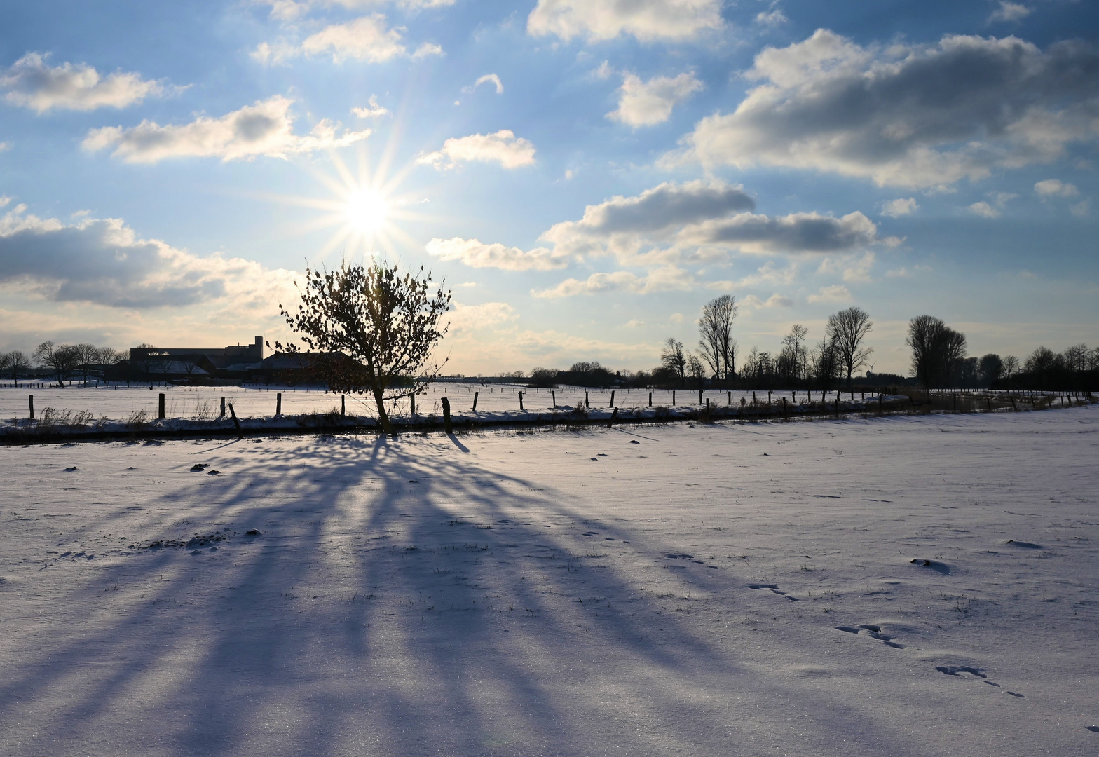 Wünsche einen sonnigen Sonntag