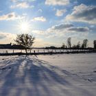 Wünsche einen sonnigen Sonntag