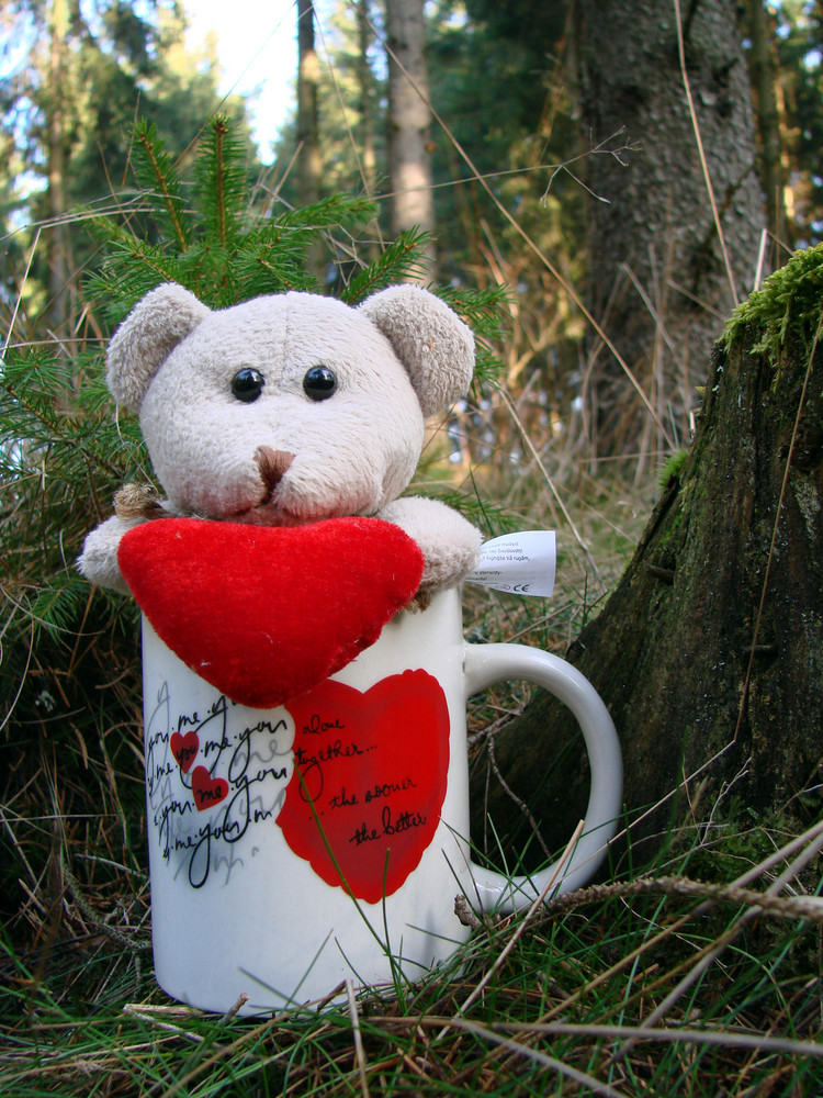 Wünsche euch allen einen schönen Valentinstag!!!!!!!!!!!!!!!! Foto