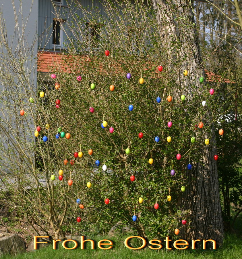 Wünsche Euch Allen FROHE OSTERN