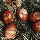 Wünsche Euch Allen Frohe Ostern