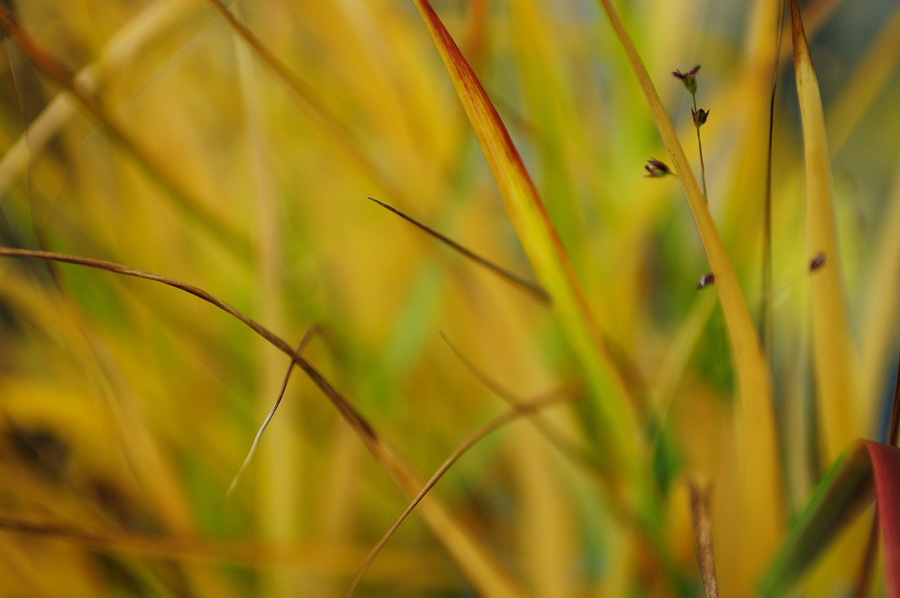 ... wünsche euch ein schönes Herbstwochende