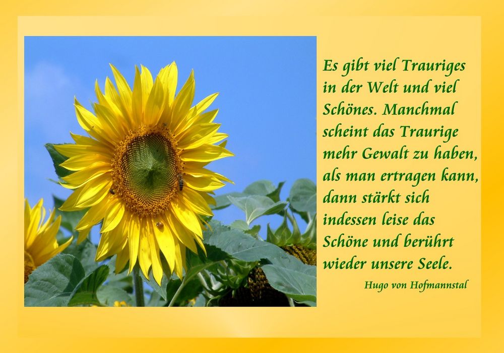 Wünsche Euch ein schönes Wochenende Foto & Bild karten und kalender