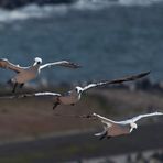 Wünsche euch einen guten Flug ins We...