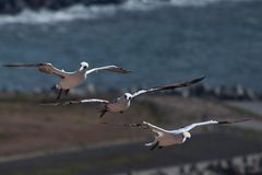 Wünsche euch einen guten Flug ins We...