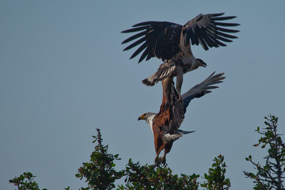 Wünsche euch einen guten Flug ins We....