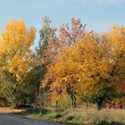 wünsche euch einen herrlichen, sonnigen Herbsttag