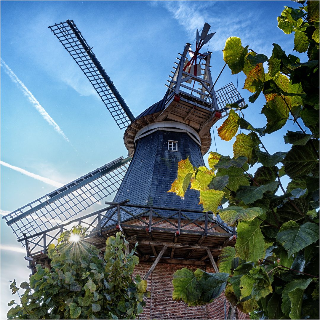 wünsche Euch einen schönen Herbstsonntag