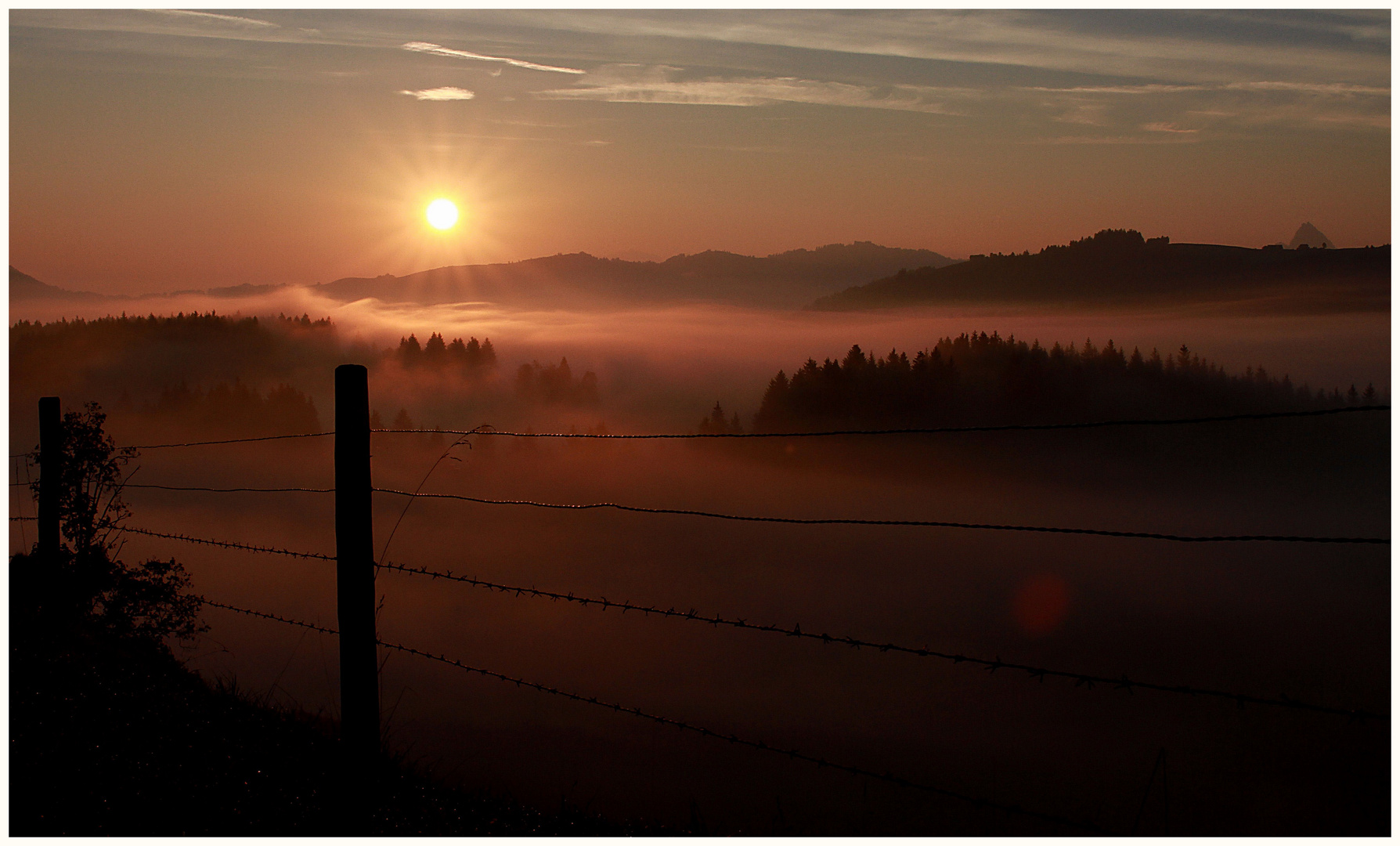 Wünsche Euch einen schönen sonnigen Sonntag