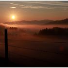 Wünsche Euch einen schönen sonnigen Sonntag