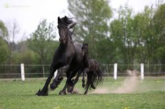 wünsche euch morgen einen schönen 1. Mai :-)