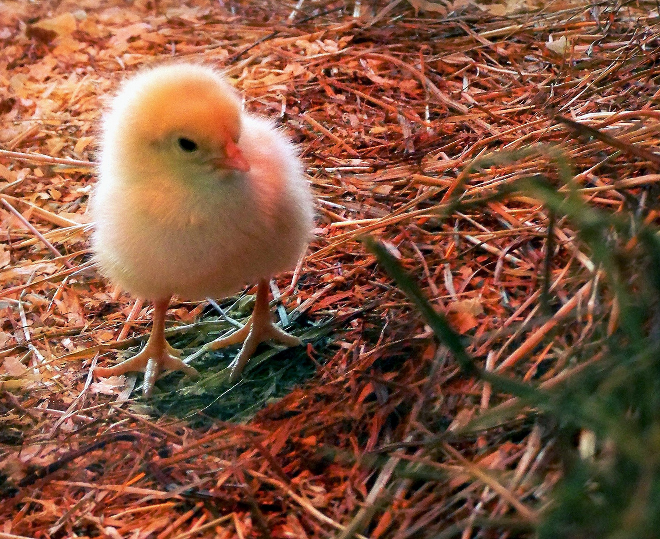 Wünsche euch noch einen schonen 2. Ostertag!