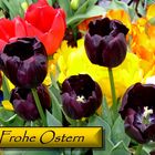 Wünsche Frohe Ostern