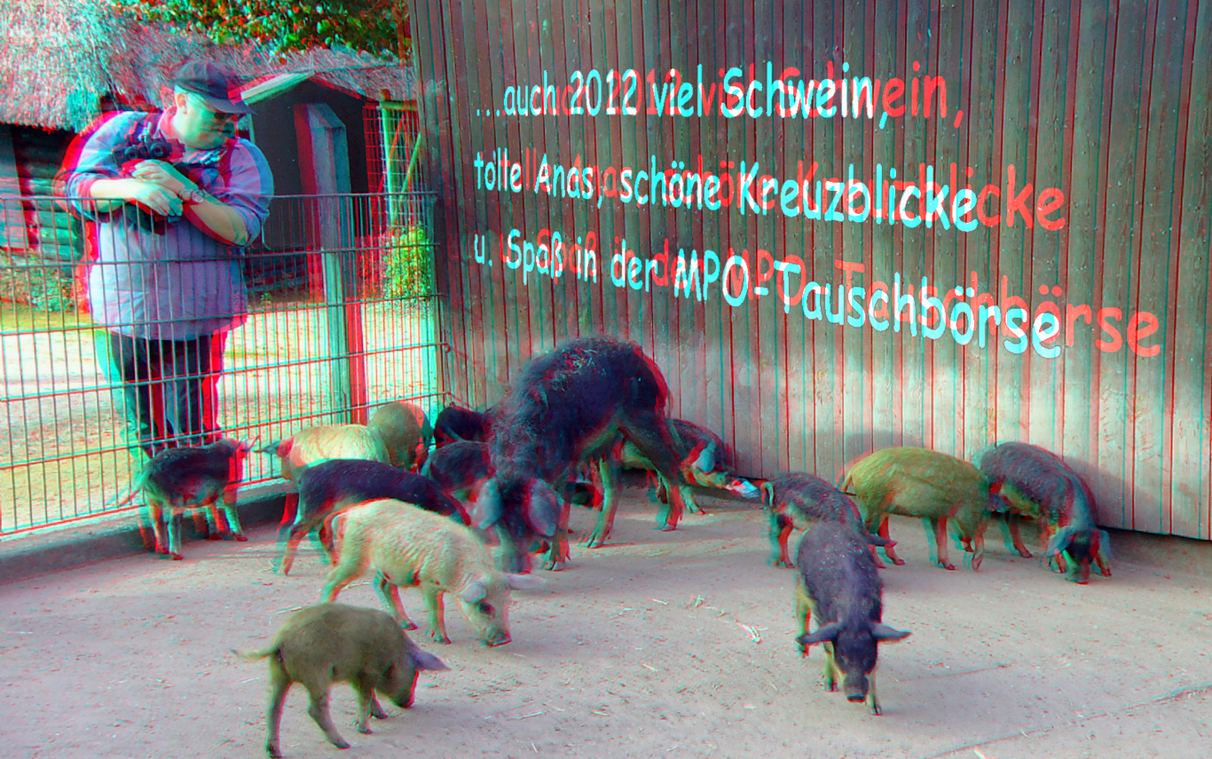 Wünsche für 2012 (3D-Foto)