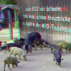 Wünsche für 2012 (3D-Foto)