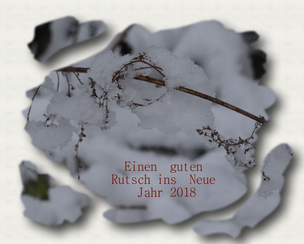 Wünsche fürs Neue Jahr Foto &amp; Bild | spezial, gratulation und feiertage