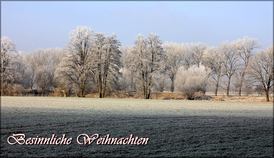 wünsche ich Euch, ...