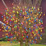 -Wünsche ich, mit diesen herrlich geschmückten Eierbaum-