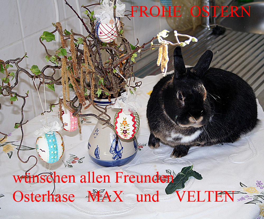 Wünsche vom Osterhasen