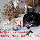 Wünsche vom Osterhasen