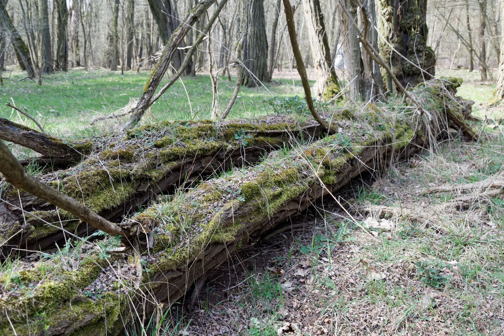 Wünsdorf Truppenübungsgelände