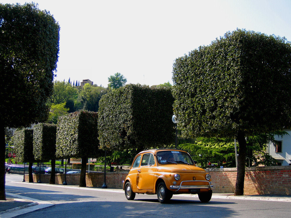 Würfelbäume in der Toscana