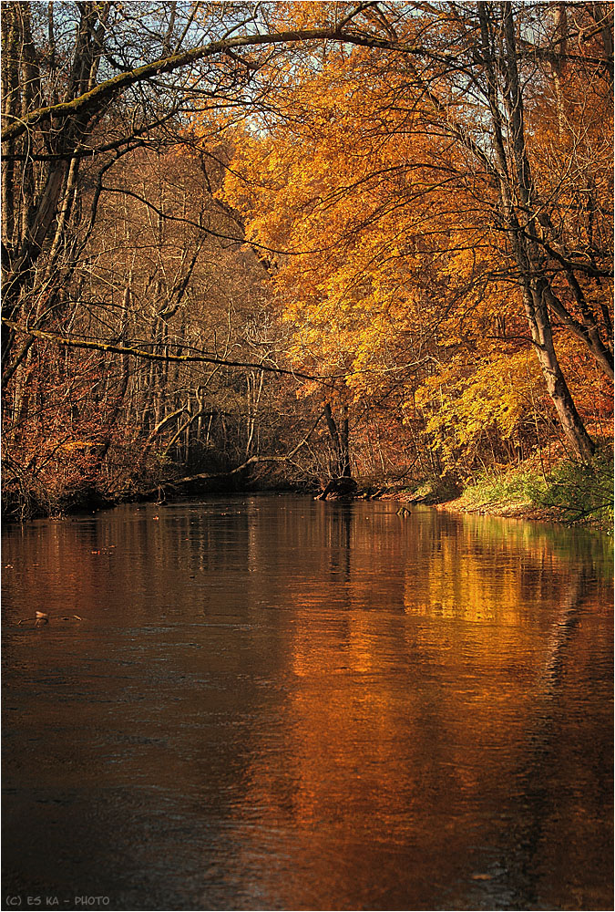 Würm im Mühltal, oder im Herbst?