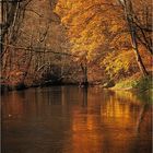 Würm im Mühltal, oder im Herbst?