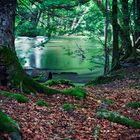 Würm-Land ... das Fenster zum Fluss