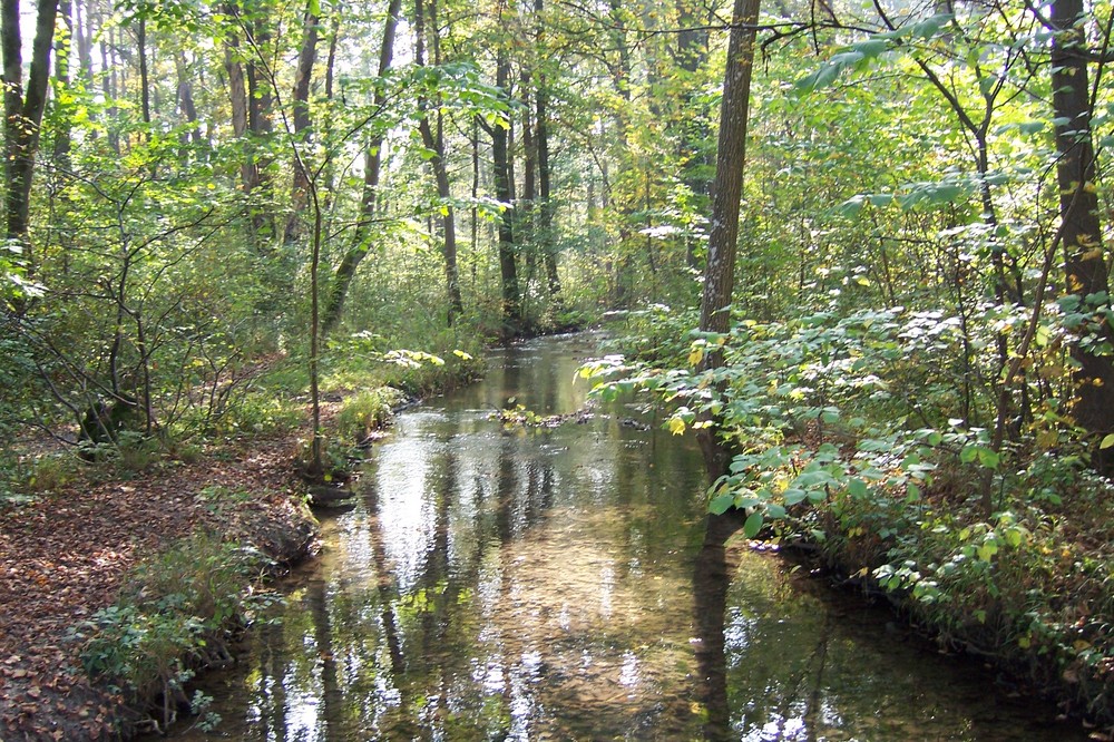 Würmkanal Unterschleißheim