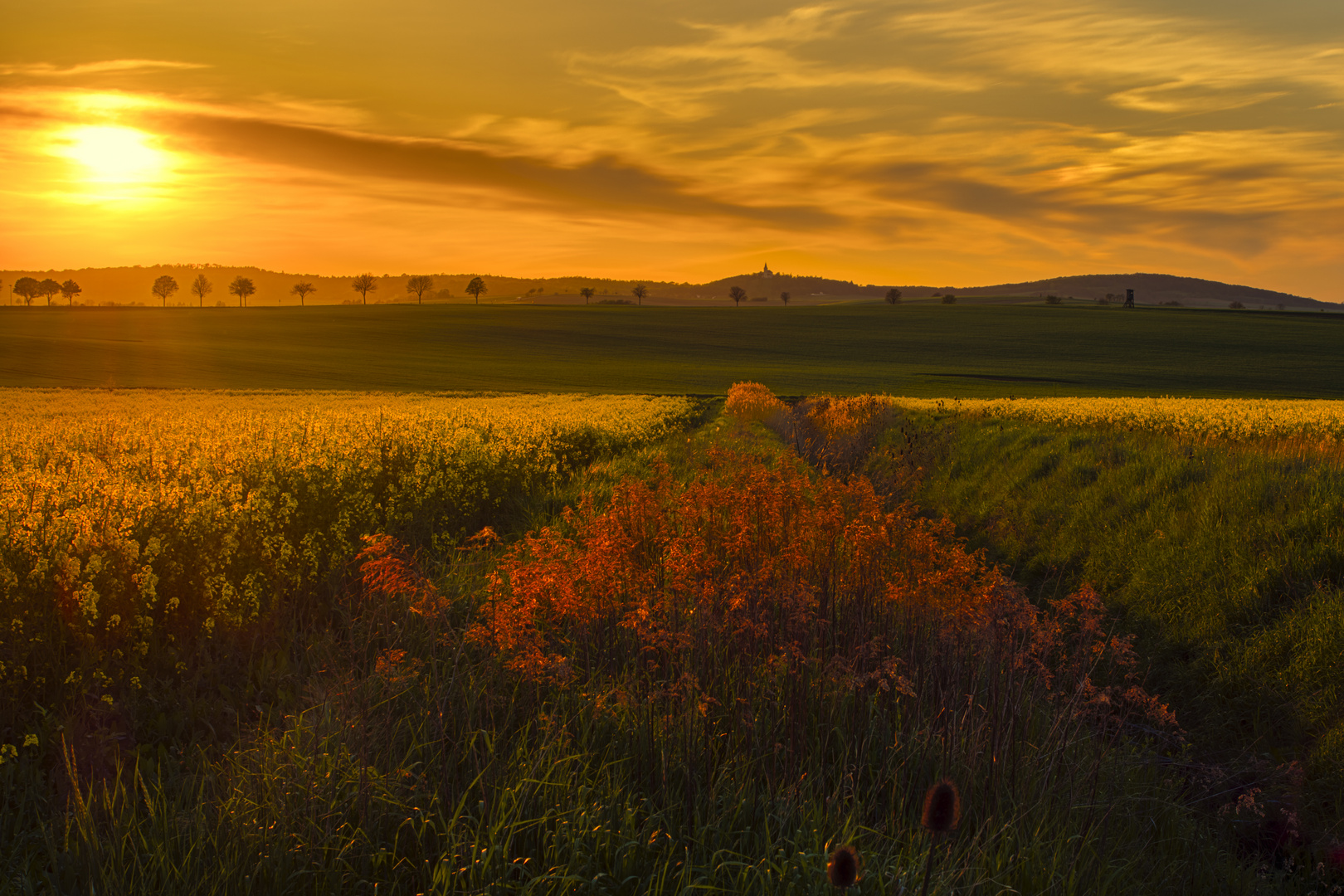 Würnitzer Abendsonne