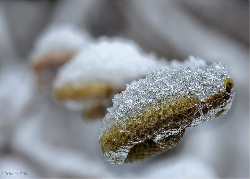 Würschdle im Eismantel