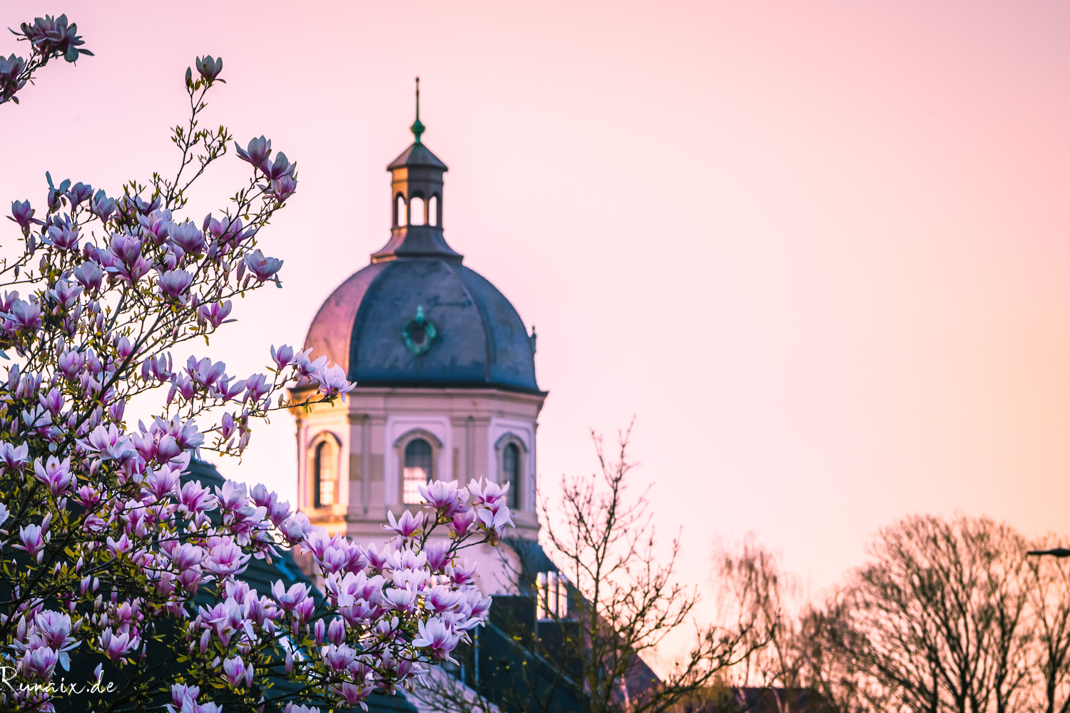 Würselen im Frühling