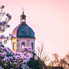 Würselen im Frühling