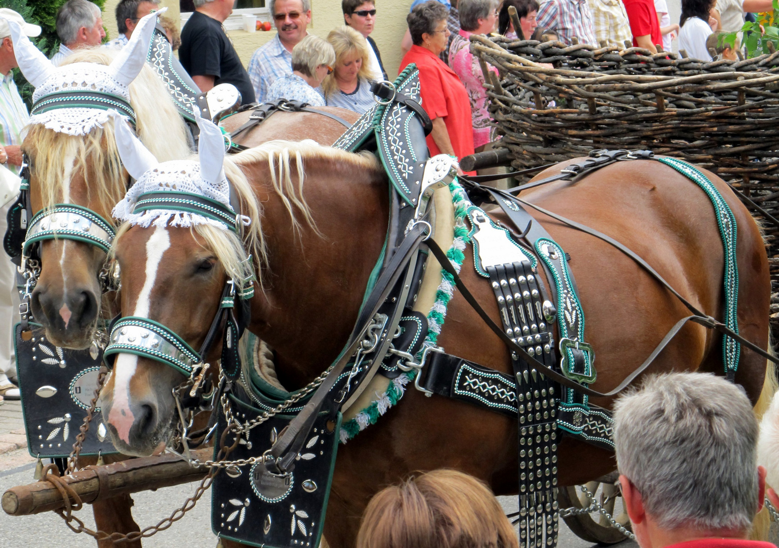 Württemberger in Hohenlohe