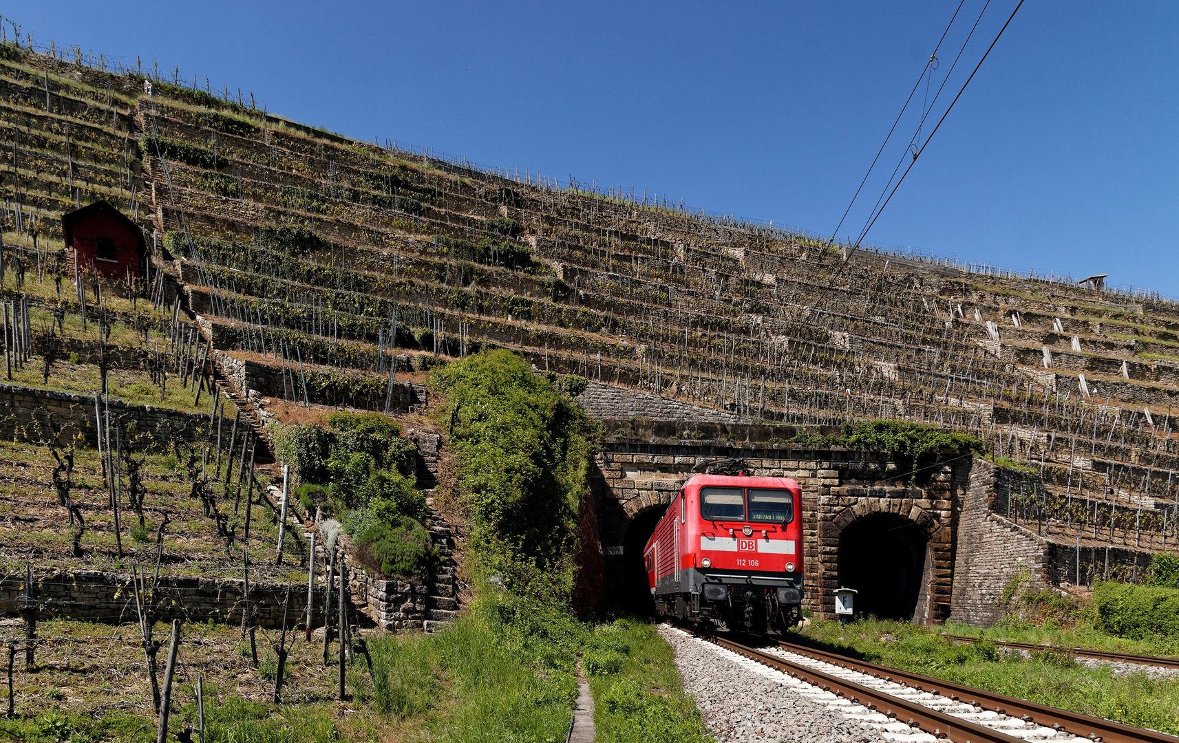 Württembergische Wein-Steil-Hänge