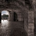 Würzburg - Blick auf die Festung Marienberg