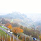 Würzburg Festung Marienberg im Nebel