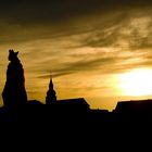 Würzburg im Gegenlicht