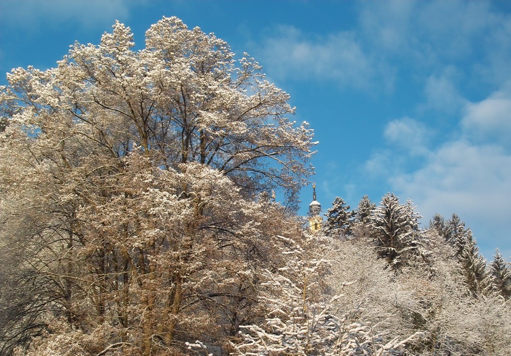 Würzburg im Winter - Blick auf´s Käppele