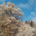 Würzburg im Winter - Blick auf´s Käppele