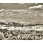 Würzburg in IR