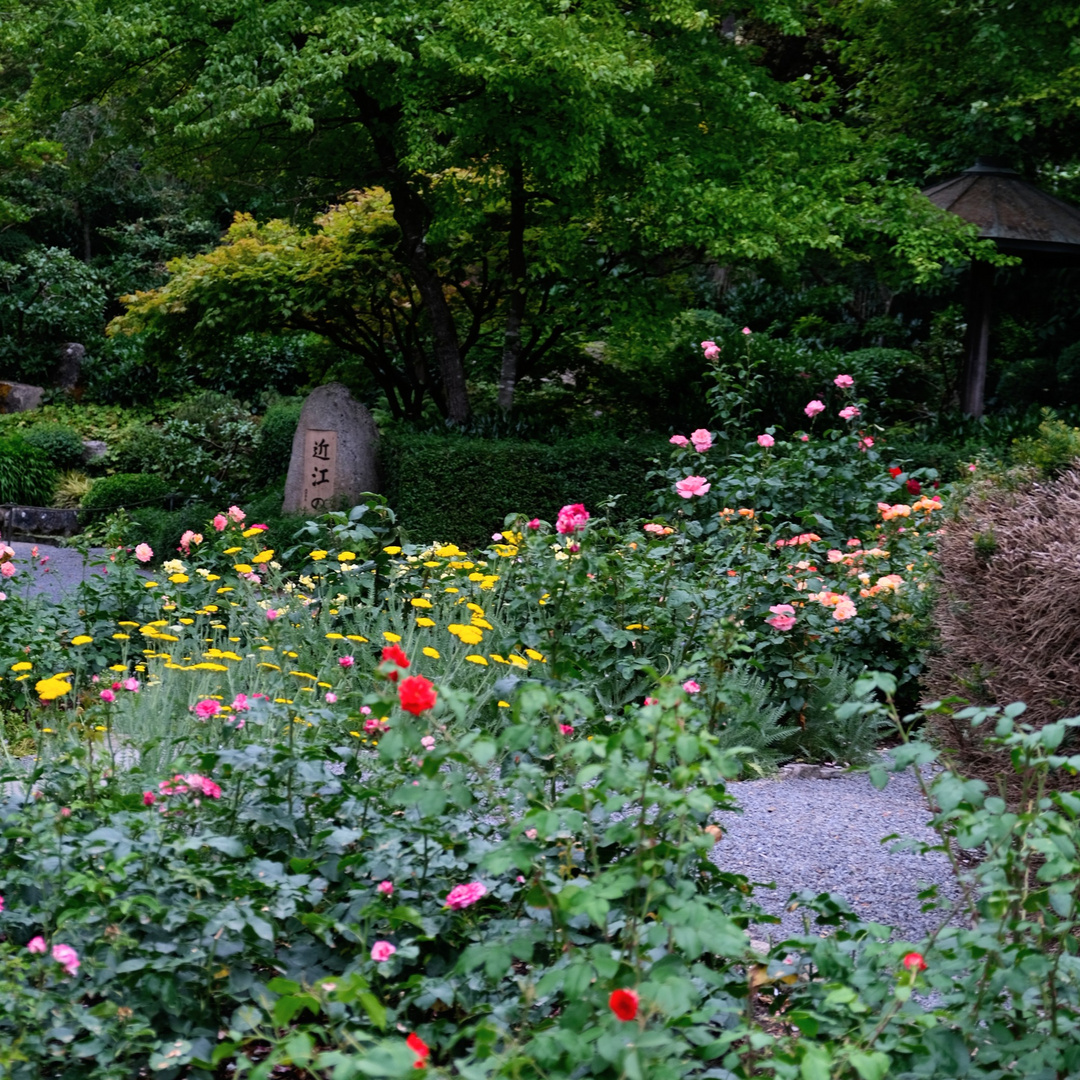 Würzburg Landesgartenschau Japanischer Garten 