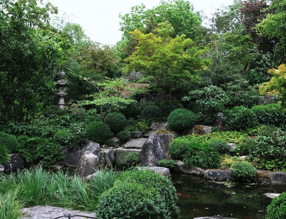 Würzburg Landesgartenschau Japanischer Garten Foto & Bild park, natur