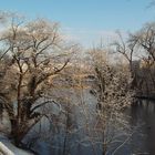 Würzburg - Wohnen am Main - Blick auf den Main im Winter