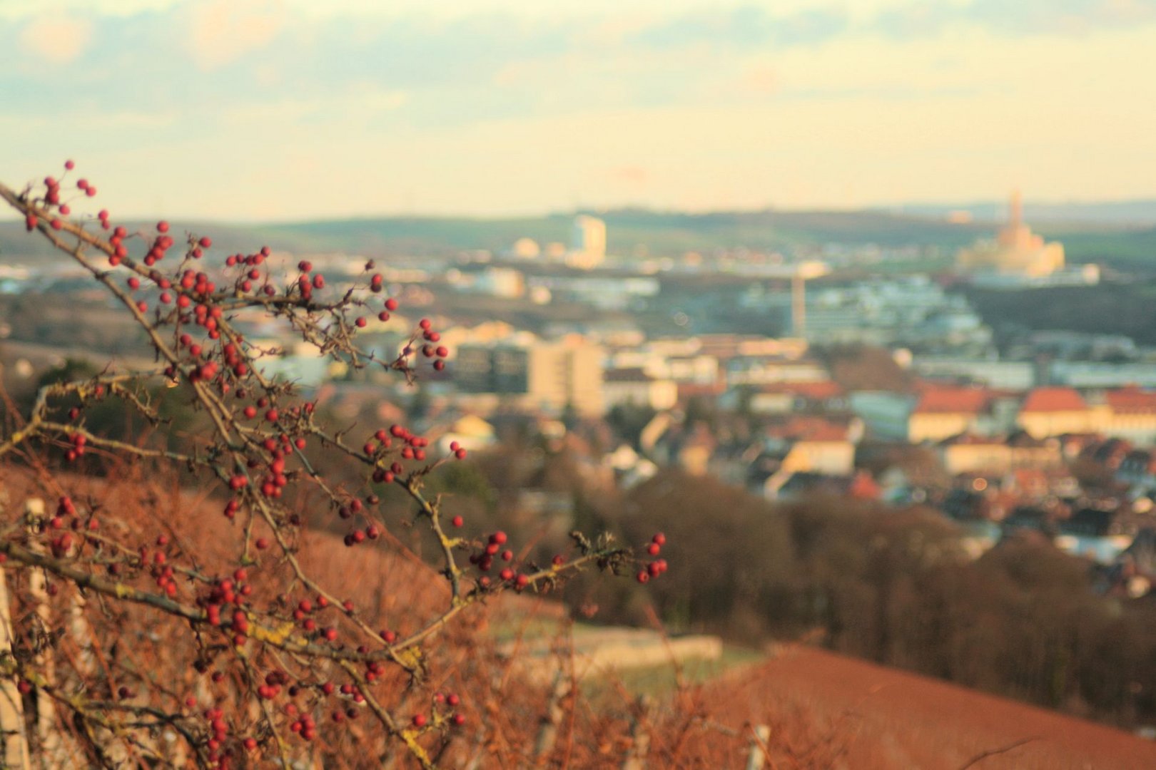 Würzburger Herbst