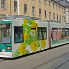 Würzburger Tram "blumig"