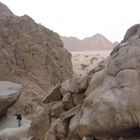 Wüste 2013