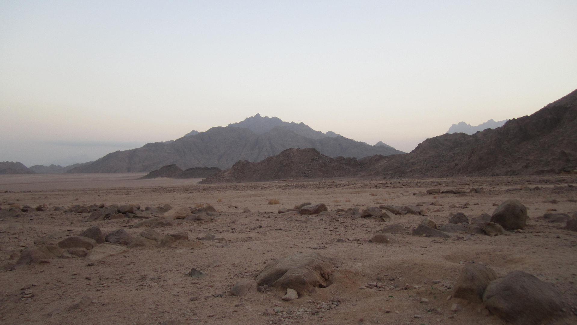 Wüste 2013
